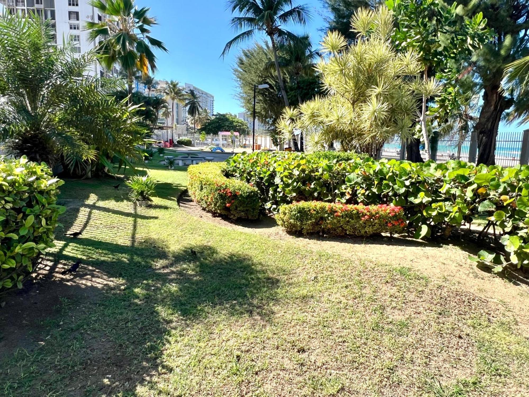 Ocean View Apt On Isla Verde In A 14Th Floor Сан Хуан Екстериор снимка